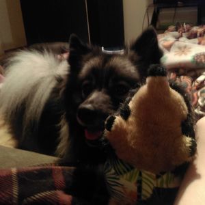 Meet your Posher, Joanna